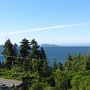 From the balcony of Bear Cove Cottages, Port Hardy